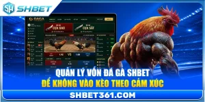 Quản Lý Vốn Đá Gà SHBET Để Không Vào Kèo Theo Cảm Xúc