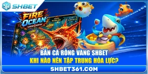 Bắn Cá Rồng Vàng SHBET – Khi Nào Nên Tập Trung Hỏa Lực?