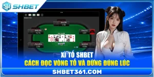 Xì Tố SHBET – Cách Đọc Vòng Tố Và Dừng Đúng Lúc