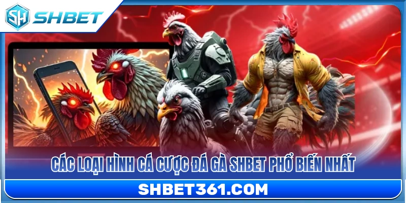 Đá Gà SHBET 2 Top hình thức đá gà SHBET được ưa chuộng nhất