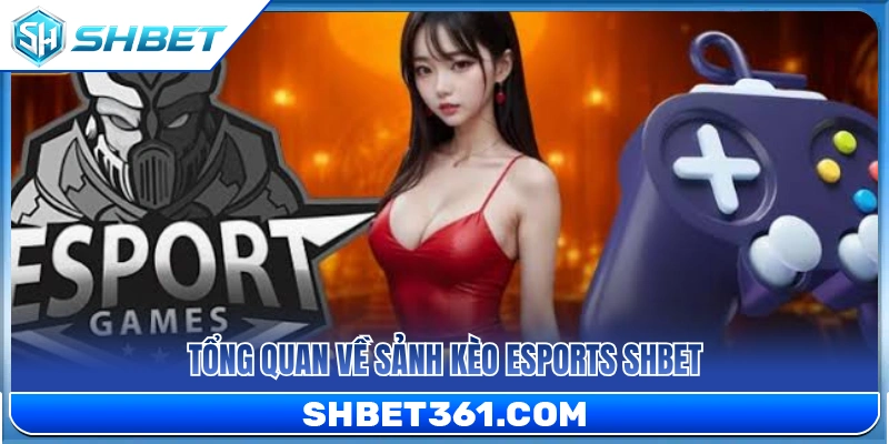 Giới thiệu khái quát về sảnh Esports SHBET 