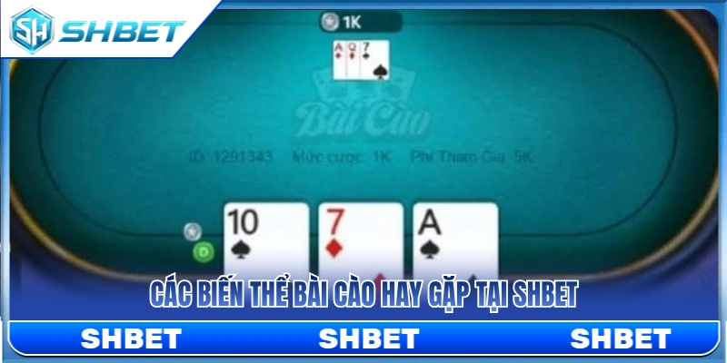 Bài Cào SHBET – Ván Nhanh, Luật Gọn, Dễ Làm Quen 3 Những dạng bài cào phổ biến thường thấy