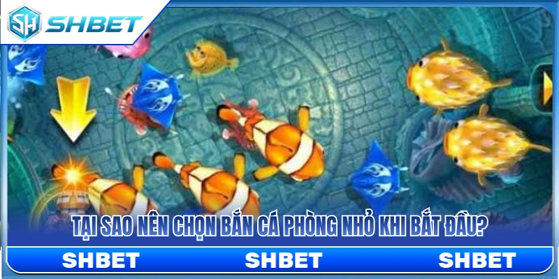 Lợi ích của việc chọn phòng cược nhỏ khi mới bắt đầu 