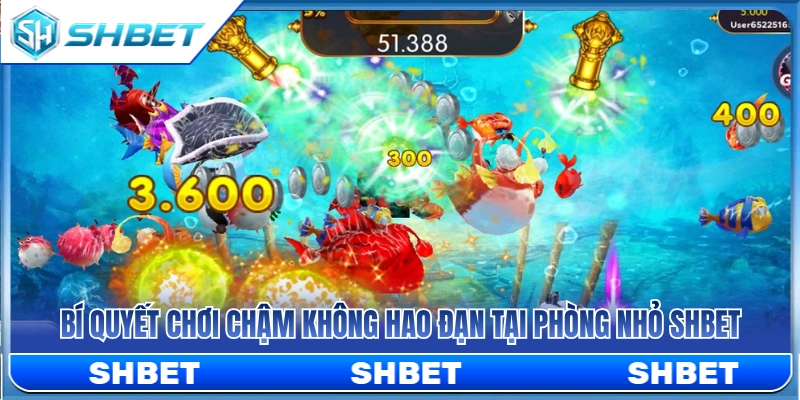 Mẹo chơi từ tốn tiết kiệm đạn ở phòng nhỏ SHBET 