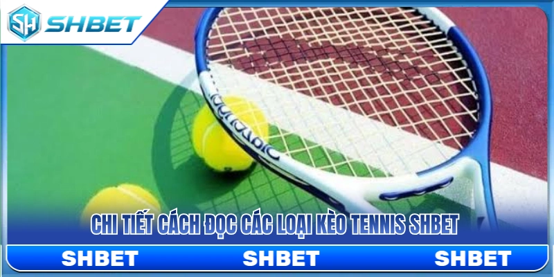 Hướng dẫn xem các dạng kèo quần vợt chuẩn xác 