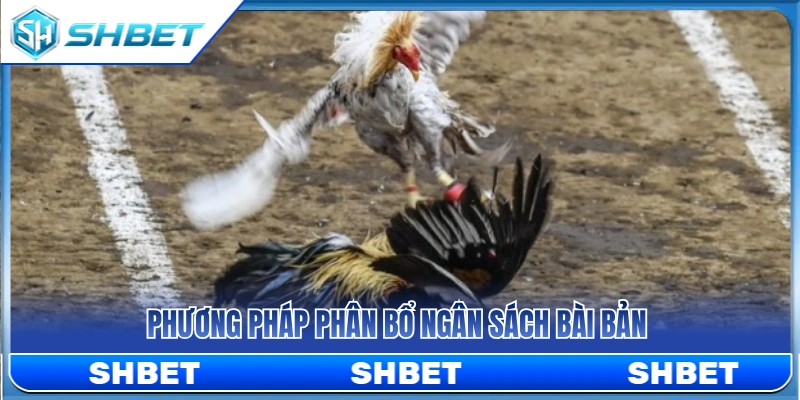 Cách chia tiền cược khoa học và hợp lý 